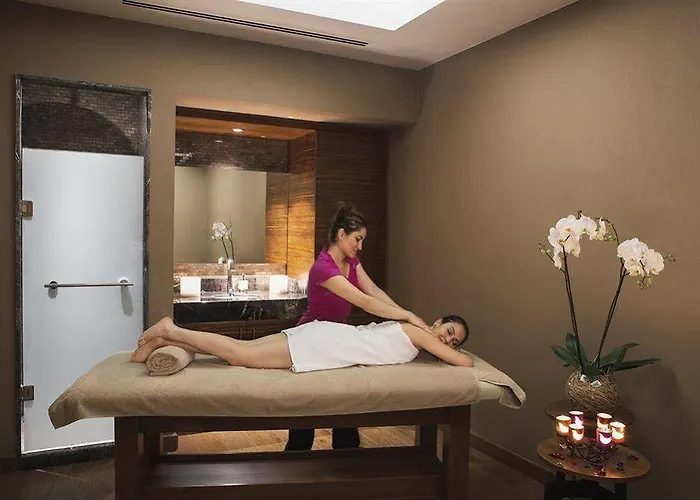 莫文皮克安卡拉酒店 5*